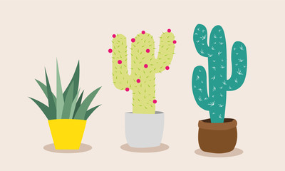 Cactus Pots Couleurs