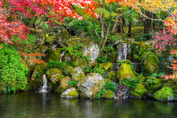 beautiful autumn scene with waterfall and pond in garden, Japan