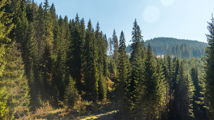 Forest and hills merge