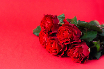Bouquet of fresh roses on a red background.