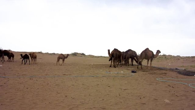 Kashan Maranjab Salt Desert 03