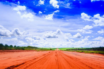 Dirt road with plantation of sugar cane on both sides and sky with clouds