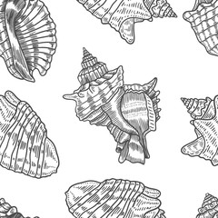 Seashells vector seamless pattern.