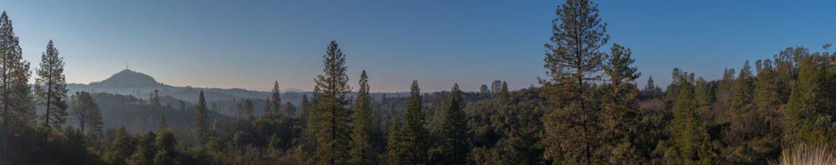 View of the forest in the sierras in California mountains