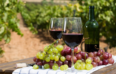 Obraz na płótnie Canvas still life with glass of red wine and grapes
