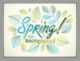 Fototapeta na wymiar Spring horizontal banner design, vector green and fresh leaves floral beautiful background, Spring Sale, advertising poster, brochure or flyer design. Stylish classy botanical drawing, environment.