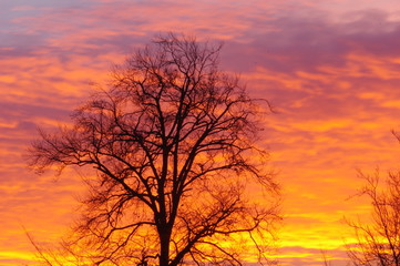 Abendrot