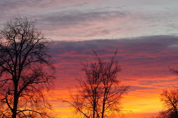 Sonnenuntergang mit Bäumen