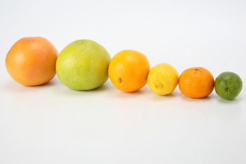 different citrus fruits on white background