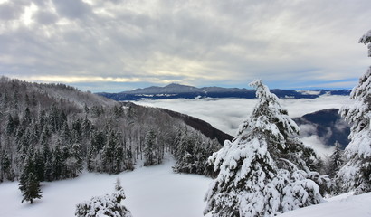 Obraz premium Beautiful winter landscape in Slovenia with snowy trees and with fog in the valley. In the distance you can see hill Kum.