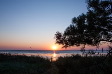 sunset on lake