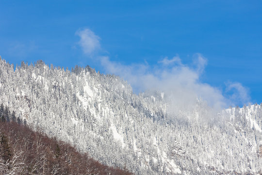 Swiss Winter cold Winter blue mountain © kisstock