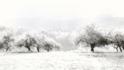 gentle winer landscape