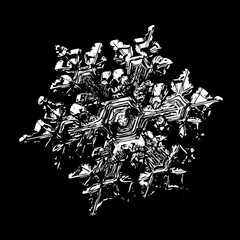 Obraz premium White snowflake on black background. Illustration based on macro photo of real snow crystal: small star plate with six short, broad arms, glossy surface and complex inner structure.