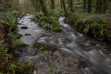Obraz premium St Nectan's Glen between Boscastle and Tintagel Cornwall