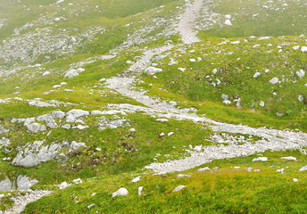 Mountain trekking path in the Kamnik–Savinja Alps. Walk to the famous hill named Skuta, Slovenia, Europe. High: 2,532 m 8,307 ft