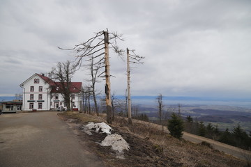 Auf dem Hoch-Blauen, Schwarzwald