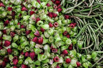 Fresh red and green roselle flowers sale in the market