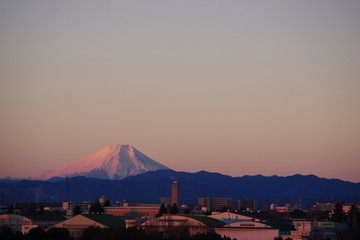 Fototapeta na wymiar 日の出を浴びる富士山