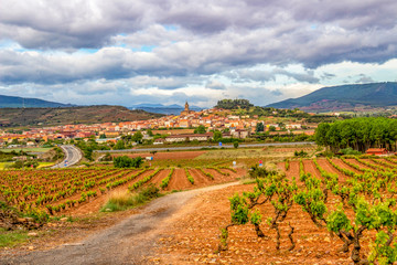 Beautiful May landscape in La Rioja, Spain on the Way of St. James, Camino de Santiago with vineyards, red clay and the town of Navarrete in the distance