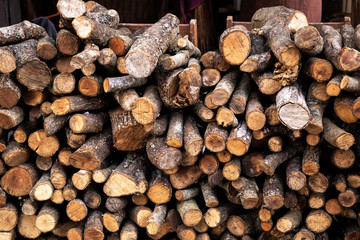 bunch of firewood from tree branches to make fire in a furnace
