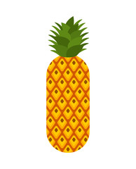 Pineapple isolated. ananas exotic tropical fruit. Vector illustration