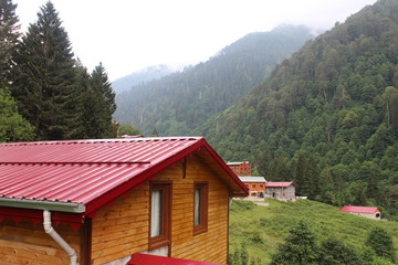 Obraz premium naturel house 