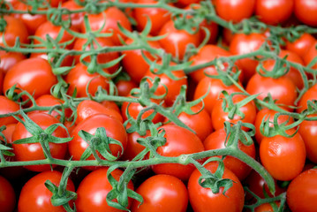 bunches of red cherry tomatoes, green branch, for sale at local vegetable market, texture, agriculture, cultivation, food, diet, vitamins, nourishment, nutrition, pizza, Milan, Italy