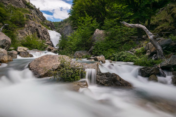 paisaje en larga exposición de un arroyo rodeado de un bosque verde 