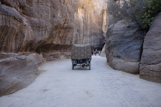 tourist at siq of petra