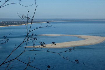 Branch and a island in the sea