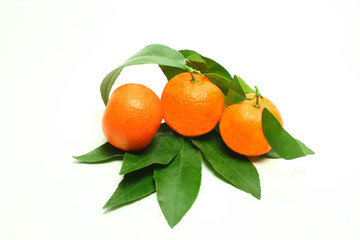 Мандаринки