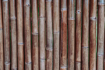 Bamboo backdrop.