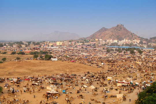 Aerial view of Pushkar Camel Fair, Pushkar, Rajasthan