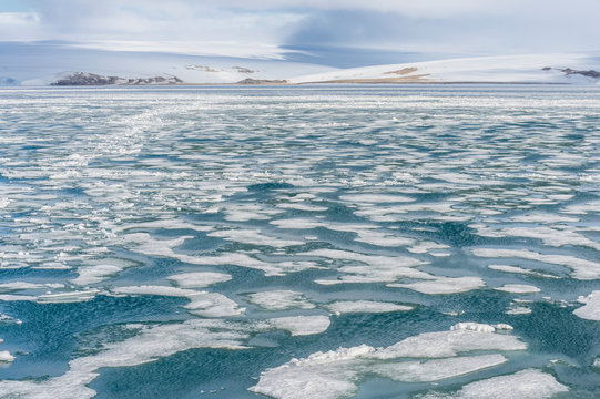 Palanderbukta Bay, pack ice pattern, Gustav Adolf Land, Nordaustlandet, Svalbard archipelago, Arctic