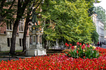 Università Cracovia