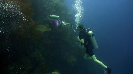 Scuba divers explores underwater coral reef and watching fish.Scuba diver underwater in tropical sea.Tropical fish on coral reef. Diving and snorkeling in tropical sea.