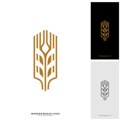 Wheat Luxury Grain and bread labels. Nature wheat. Agriculture wheat Logo Template Vector