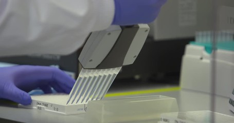 Laboratory analyst filling sample tray with pipette tool - Powered by Adobe