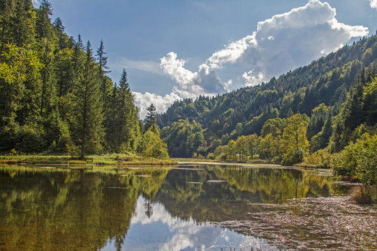 Wiesensee - Bergsee bei Hochfilzen