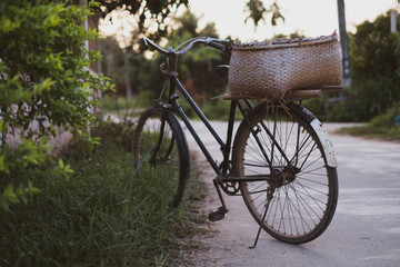 Fototapeta na wymiar vintage bicycle in thailand