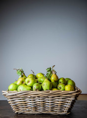 Birnenernte