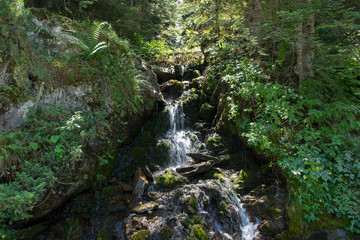 Small waterfall in the valley of Aran, Lleida