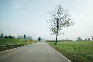 Empty asphalt road and lonely tree