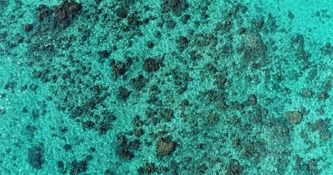 lagoon with coral in aerial view, Papeete French Polynesia