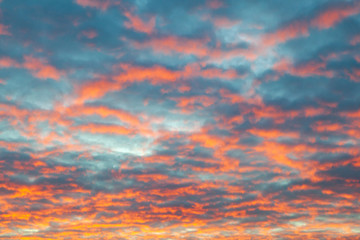 pink clouds in the sunset sky