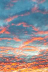 pink clouds in the sunset sky
