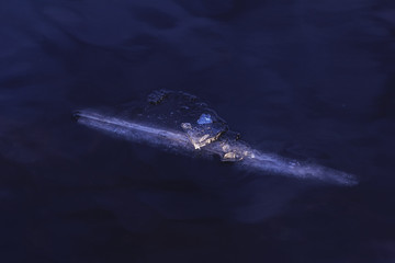 Obraz premium Narrow ice floe in dark waters