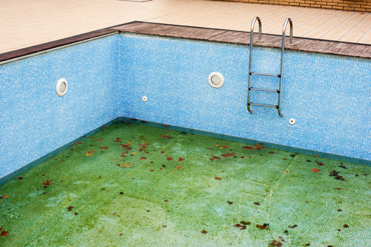 Empty swimming pool with ladder or steps