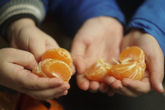 Tangerines are cleaned in the hands of children